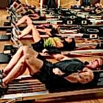 shutterstock_43562566